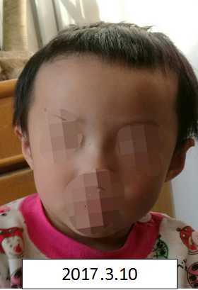 男人草女人在线观看